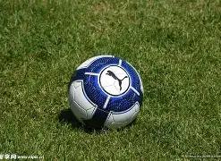 山东春节期,间举办多场,冰雪主题活,宝威体育,宝威体育官网,宝威体育官方,宝威体育下载