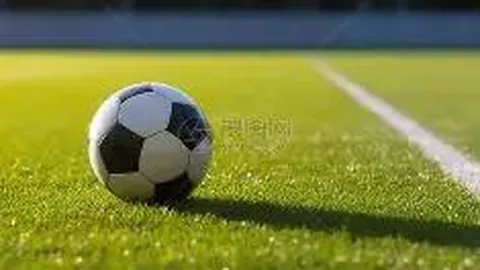 宝威体育 产品 100330 vrq