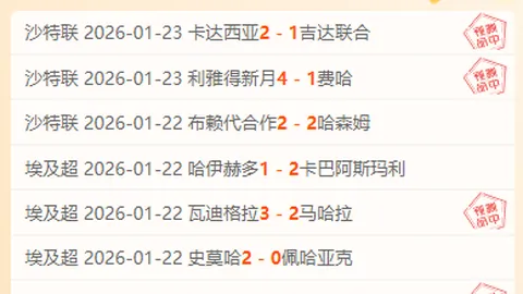 [足球世界]马塞洛：舞动翅膀